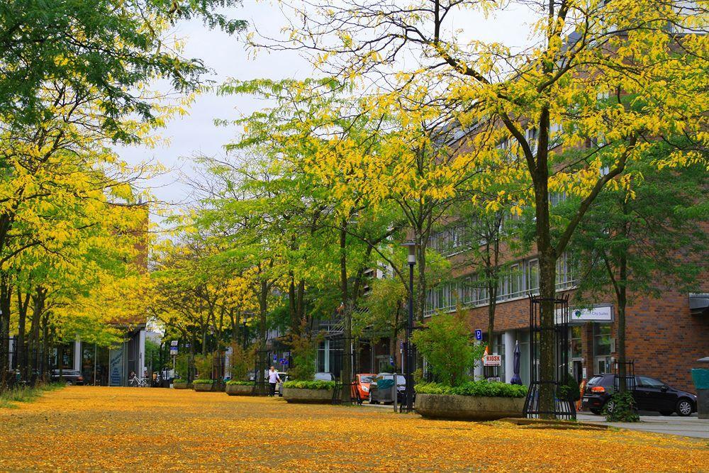 Essen City Suites Exteriér fotografie